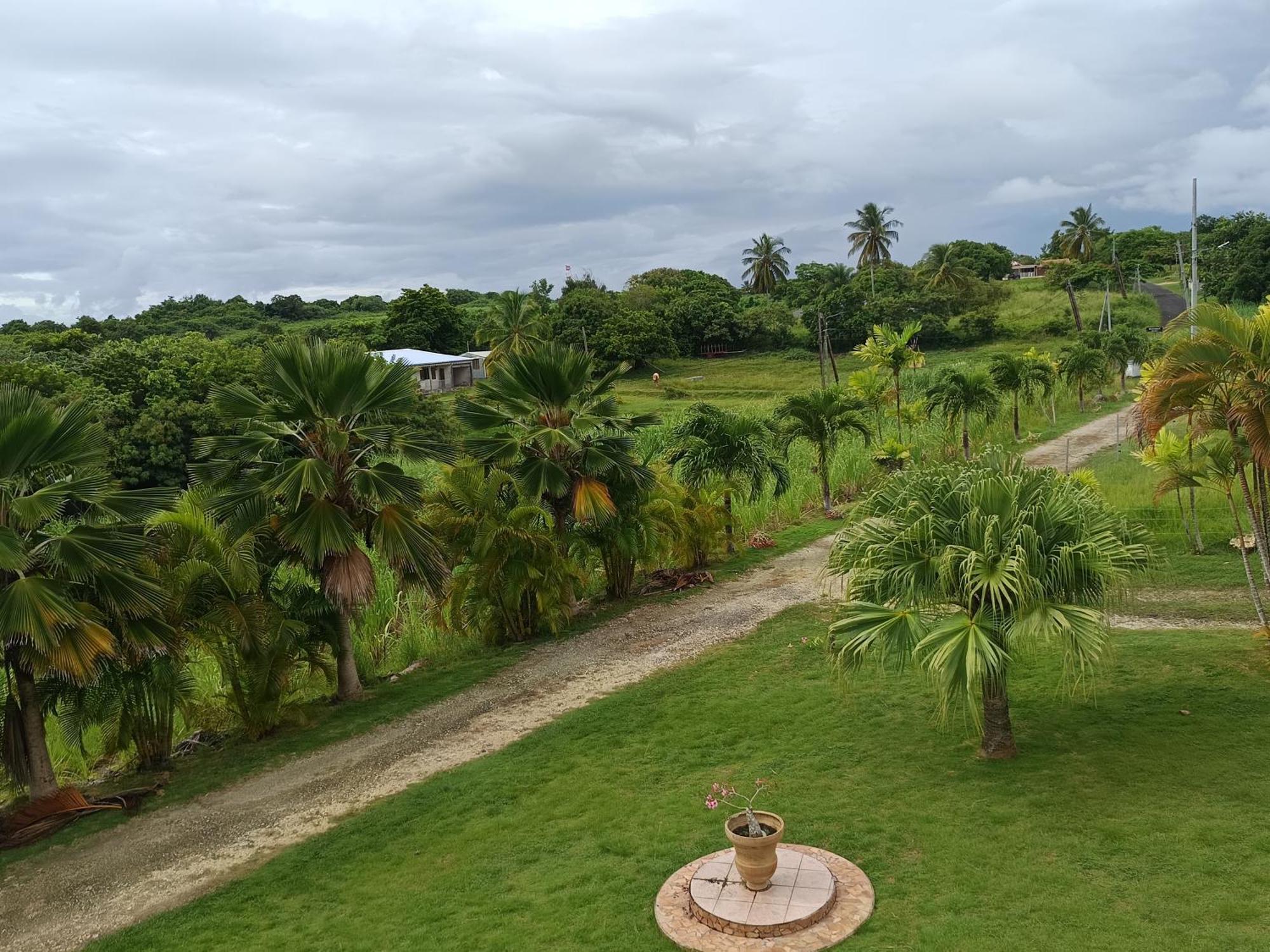 L'Aseta Paradise Grand-Bourg  Exteriör bild